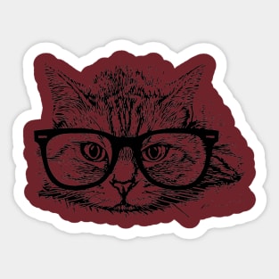 cat with glasses Sticker